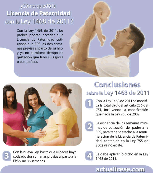 LEY PATERNIDAD Y ley paternidad y: